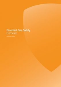 Download Essential Gas Safety – Domestic (Gas Installer Series) pdf, epub, ebook