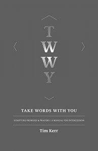 Download Take Words With You: Scripture Promises & Prayers / A Manual For Intercession pdf, epub, ebook