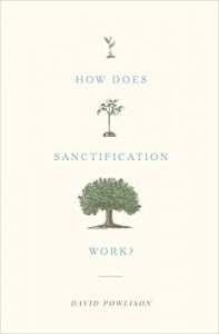 Download How Does Sanctification Work? pdf, epub, ebook