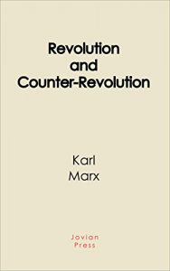 Download Revolution and Counter-Revolution pdf, epub, ebook