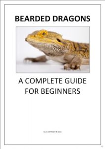 Download Bearded Dragons A Complete Guide for Beginners pdf, epub, ebook