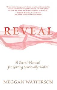 Download Reveal: A Sacred Manual for Getting Spiritually Naked pdf, epub, ebook