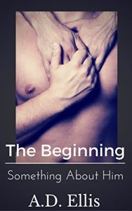 Download Bryan & Jase, The Beginning: Something About Him pdf, epub, ebook