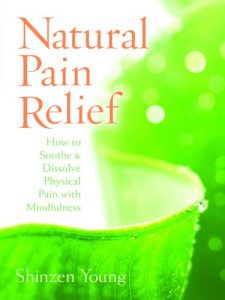 Download Natural Pain Relief: How to Soothe and Dissolve Physical Pain with Mindfulness pdf, epub, ebook