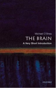 Download The Brain: A Very Short Introduction (Very Short Introductions) pdf, epub, ebook