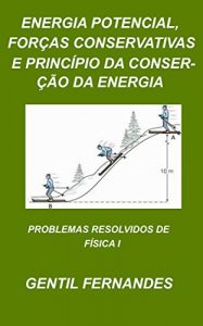 Download ENERGIA POTENCIAL, FORÇAS CONSERVATIVAS E PRINCÍPIO DA CONSERVAÇÃO DA ENERGIA: PROBLEMAS RESOLVIDOS DE FÍSICA I (Portuguese Edition) pdf, epub, ebook