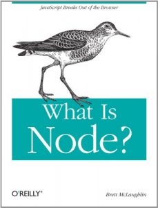Download What Is Node? pdf, epub, ebook