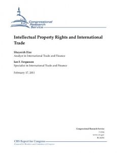 Download Intellectual Property Rights and International Trade pdf, epub, ebook