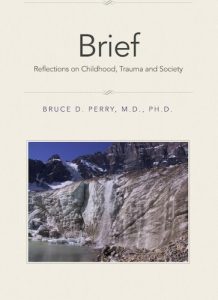 Download Brief: Reflections on Childhood, Trauma and Society pdf, epub, ebook