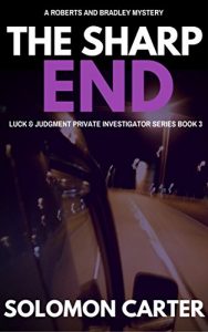 Download The Sharp End: Luck and Judgment Private Investigator Crime Thriller Series Book 3 pdf, epub, ebook