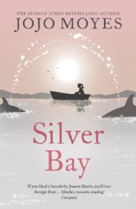 Download Silver Bay pdf, epub, ebook