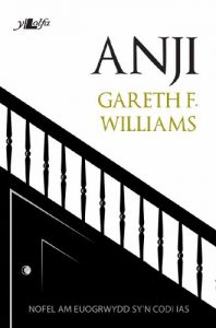 Download Anji (Welsh Edition) pdf, epub, ebook