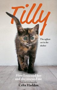 Download Tilly: The Ugliest Cat: How I Rescued Her and She Rescued Me pdf, epub, ebook