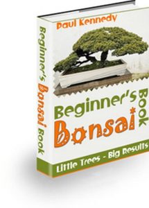 Download Beginner’s Bonsai Book pdf, epub, ebook