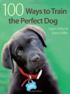 Download 100 Ways to Train the Perfect Dog pdf, epub, ebook