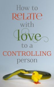 Download How to Relate with Love to a Controlling Person pdf, epub, ebook