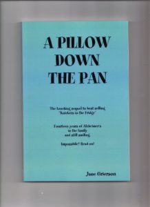 Download A Pillow Down the Pan: The touching sequel to “Knickers in the Fridge” pdf, epub, ebook