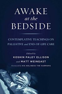 Download Awake at the Bedside: Contemplative Teachings on Palliative and End-of-Life Care pdf, epub, ebook