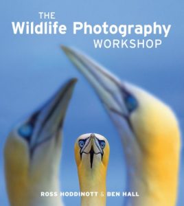 Download The Wildlife Photography Workshop pdf, epub, ebook