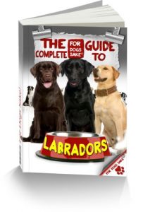 Download The Complete Guide to Labradors pdf, epub, ebook