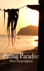 Download Paving Paradise pdf, epub, ebook