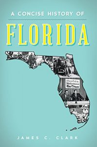 Download A Concise History of Florida (Brief History) pdf, epub, ebook