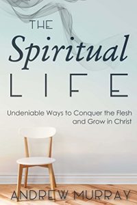 Download The Spiritual Life: Undeniable Ways to Conquer the Flesh and Grow in Christ pdf, epub, ebook