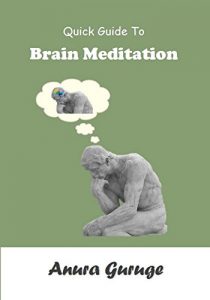 Download Quick Guide To Brain Meditation pdf, epub, ebook