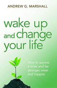 Download Wake Up and Change Your Life: How to survive a crisis and be stronger, wiser and happier pdf, epub, ebook