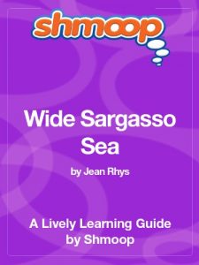 Download Wide Sargasso Sea: Shmoop Study Guide pdf, epub, ebook