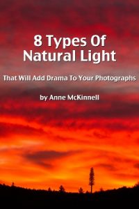 Download 8 Types Of Natural Light That Will Add Drama To Your Photographs pdf, epub, ebook