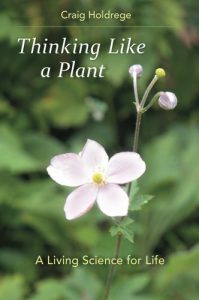 Download Thinking Like a Plant: A Living Science for Life pdf, epub, ebook