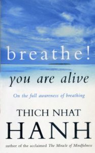 Download Breathe! You Are Alive: Sutra on the Full Awareness of Breathing pdf, epub, ebook