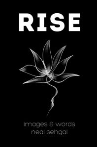 Download Rise pdf, epub, ebook