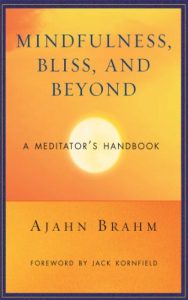 Download Mindfulness, Bliss, and Beyond: A Meditator’s Handbook pdf, epub, ebook