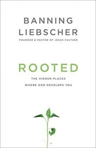 Download Rooted: The Hidden Places Where God Develops You pdf, epub, ebook
