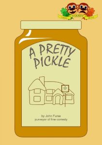 Download A Pretty Pickle pdf, epub, ebook