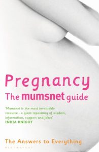 Download Pregnancy: The Mumsnet Guide: The Answers to Everything pdf, epub, ebook