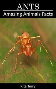 Download Ants: Amazing Photos & Fun Facts Book About Ants (Amazing Animals Facts) pdf, epub, ebook