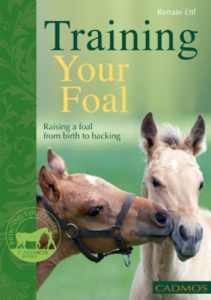 Download Training Your Foal: Raising a foal from birth to backing (Horses) pdf, epub, ebook