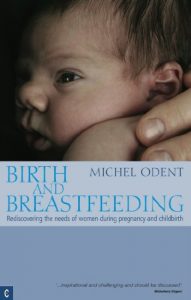 Download Birth and Breastfeeding: Rediscovering the needs of women during pregnancy and childbirth pdf, epub, ebook