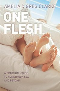 Download One Flesh: A Practical Guide to Honeymoon Sex and Beyond pdf, epub, ebook