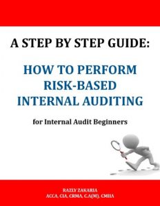 Download A Step By Step Guide: How to Perform Risk Based Internal Auditing for Internal Audit Beginners pdf, epub, ebook