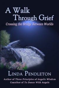 Download A Walk Through Grief: Crossing the Bridge Between Worlds pdf, epub, ebook