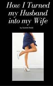 Download How I Turned my Husband into my Wife pdf, epub, ebook