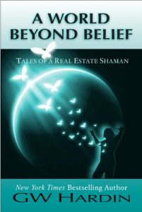 Download A World Beyond Belief: Tales of a Real Estate Shaman pdf, epub, ebook