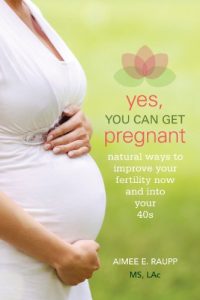 Download Yes, You Can Get Pregnant: Natural Ways to Improve Your Fertility Now and into Your 40s pdf, epub, ebook