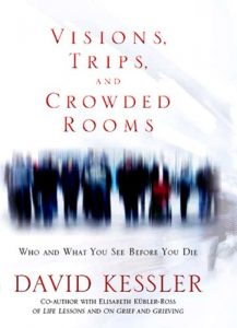 Download Visions Trips And Crowded Rooms pdf, epub, ebook