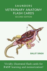 Download Veterinary Anatomy Flash Cards – pdf, epub, ebook