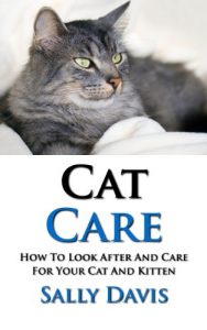 Download Cat Care: How To Look After And Care For Your Cat And Kitten pdf, epub, ebook